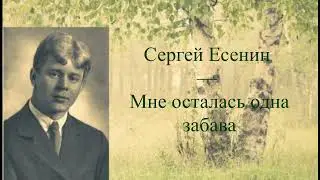 #стихи С.А.Есенин — Мне осталась одна забава