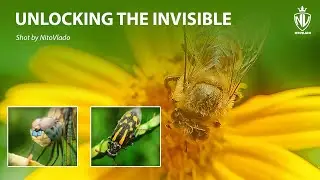 UNLOCKING THE INVISIBLE ::: MACRO WORLD