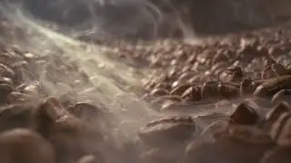 Coffee Bean Footage Video in 4K