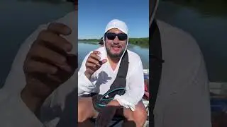 Рыболовная база @kantengri, гигантский СОМ, Алматы