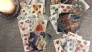 ДЛЯ ЧЕРВОВЫХ ДАМ! ЕСТЬ СОМНЕНИЯ...