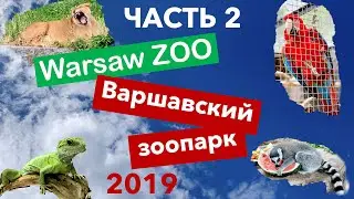 [NEW] Warsaw ZOO 2019 Part 2 | Варшавский зоопарк Часть 2 | ZOO Warszawa