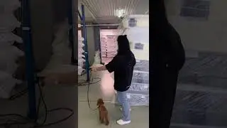 Дизайнерские матрасы 