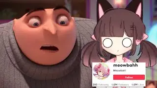 gru sees meowbahh