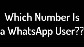 WhatsApp Kingdom