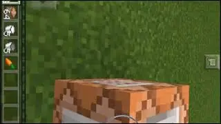 мод на лаки блоки командные блоки в Майнкрафт пе 1.1.0.9