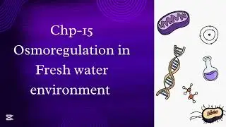 Osmoregulation in fresh water environment |Class 12 biology | biology chapter 15