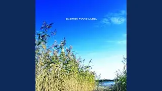 Sadness of September
