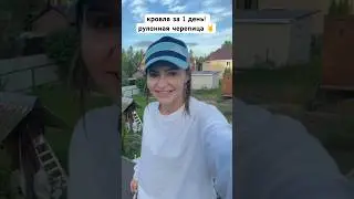 24 июня 2024 г.