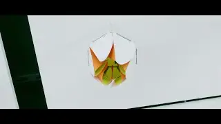 Google Flowers