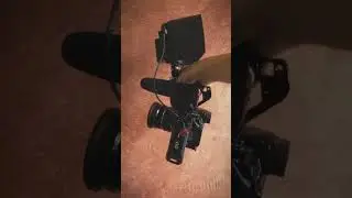 #feelworld