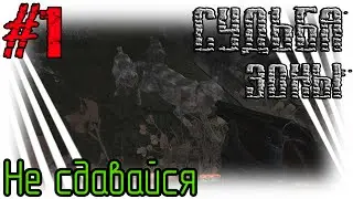 S.T.A.L.K.E.R. / Судьба Зоны - Не сдавайся (1)