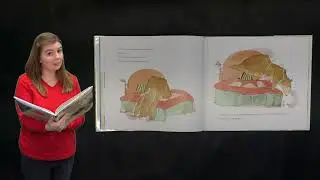 A Christmas for Bear | Storytime with Miss Darcy