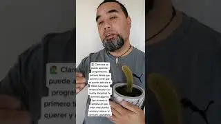 Qué necesito para aprender a programar