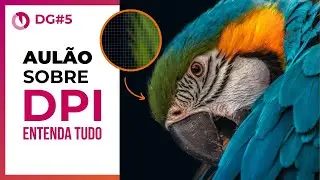 AULÃO SOBRE RESOLUÇÃO DPI e QUALIDADE DE IMAGEM   72DPI x 300DPI e DPIxPPI