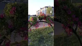 Цветочная арка