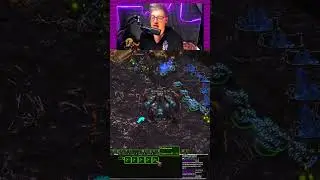 Как играть ZvZ если люра #medoed #starcraft #медоед #старкрафт
