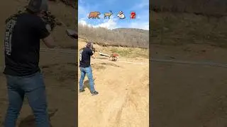 Would you shoot an animal on the run? 