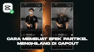Cara edit foto dan video menjadi partikel menghilang di capcut menggunakan fitur terbaru 2022
