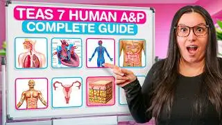 Comprehensive 2024 ATI TEAS 7 Science Anatomy and Physiology Study Guide With Practice Questions