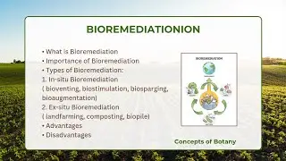 Bioremediation| In-situ & Ex-situ Bioremediation| Importance| Hindi/ Urdu| Concepts of Botany