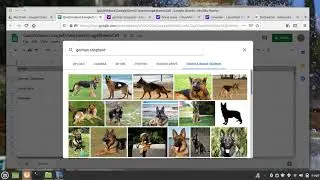 Google Sheets: Inserting an image within a cell