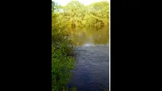 Весенняя река. Пение птиц, шум речной воды и просто красота! Приглашаю порелаксировать!