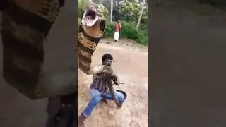 king cobra