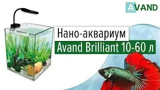 Нано-аквариум Avand Brilliant 10-60 л