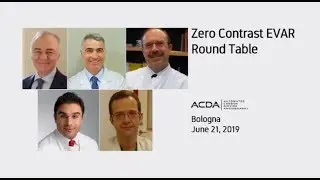 Zero Contrast EVAR Round Table - Highlights