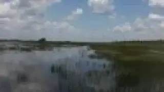Florida Everglades