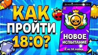 Проходим испытания с Лам Баззом+Пики/Матрасик/