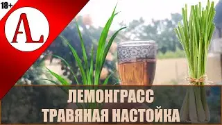 Лемонграсс. Травяная настойка от Пилентия. Винокурня АЛ-Крафт.