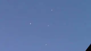 Пермские голуби идут на посадку.
