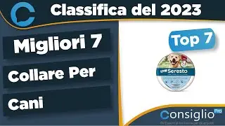 Migliori collare per cani Qualità Prezzo 2023