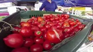 Thomas Hill Organics Presents Bautista Farms