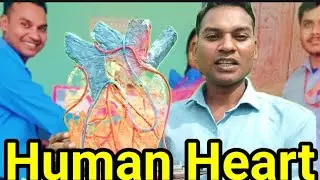 हृदय की संरचना तथा कार्य ।। Heart mechanism and structure in hindi//Human heart ❤️❤️❤️