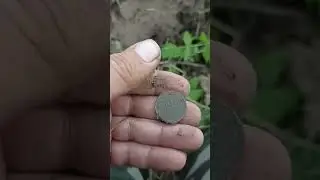 Коля первый #metaldetecting #поисксметаллоискателем #коп #металлоискатель #coin #клад #поиски