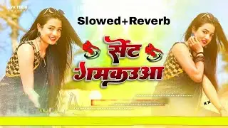 #video || सेंट गमकउआ || (Slowed+Reverb) Bhojpuri Song #slowedandreverb #song