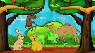 Animals and Forest