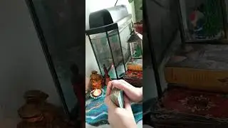 Ваш мужчина и соперница🧐