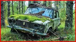 Abandoned cars in the woods 2025