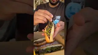 حصان اسود