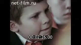 Помощники ГАИ (1980)