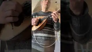 Sound sample mandolin Fernando del Perugia 1900