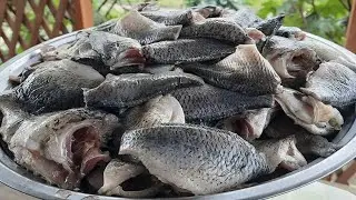 НЕ ВЫКИДЫВАЙТЕ МЕЛКУЮ РЫБУ! Приготовьте это блюдо✅ Котлеты из мелкой  речной рыбы.Рыбные котлеты.