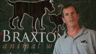 Preventing Fleas and Ticks with Natural Products