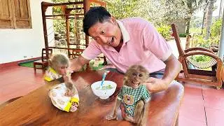 Uncle Nam Harvests Fresh Okra to Cook Special Meal for Jobi & Hope ❤️🐒🥬