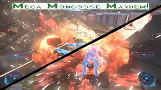 Halo Multi-Mongoose Mayhem | Ft. Bungis T-Bone, SaltyEuan, and JBMES