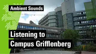 Taking a step back | Listening to Campus Grifflenberg